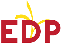 EDP Consultants